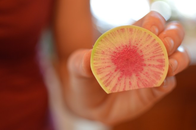 radish1