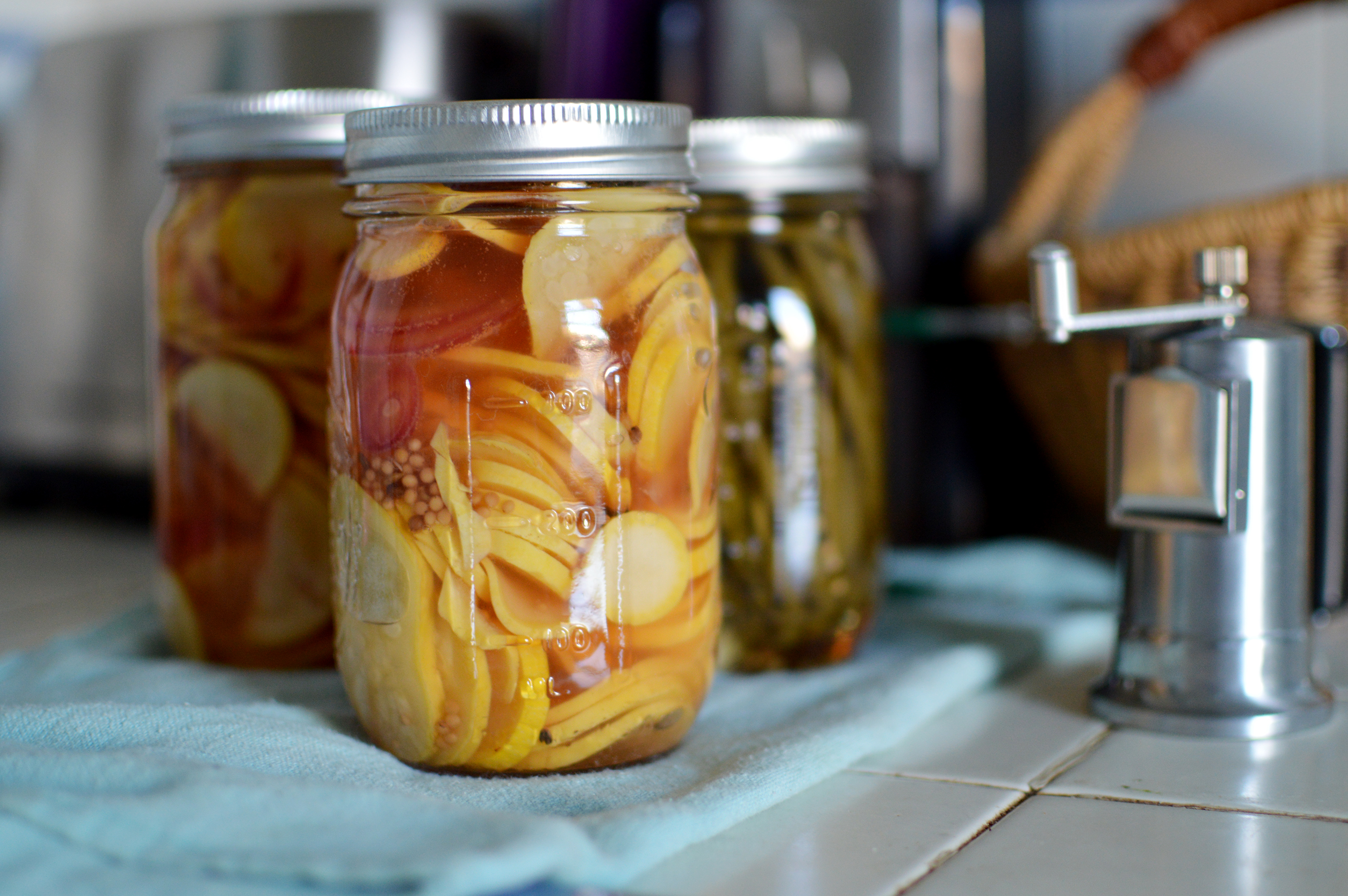 pickles_squash