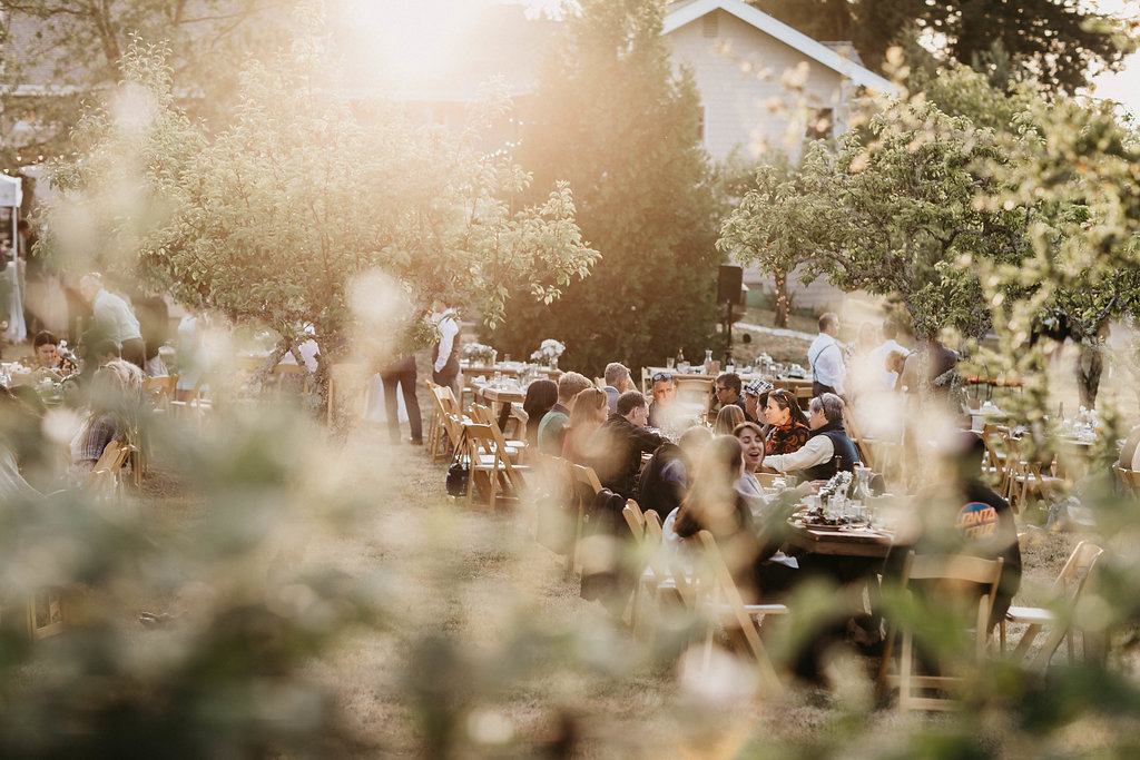 HanaandJonji(1001of1221)