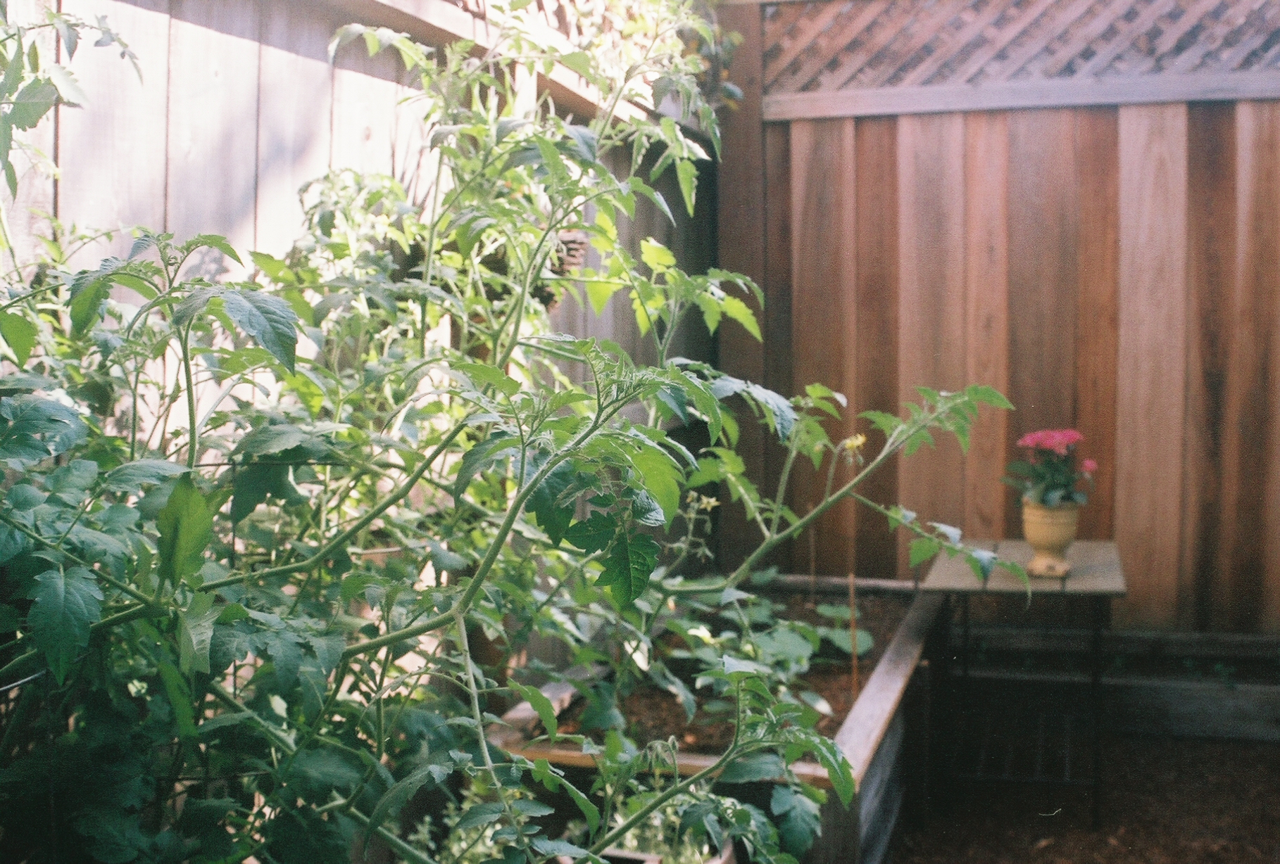 OREGAN4_OREGAN4-R1-005-1