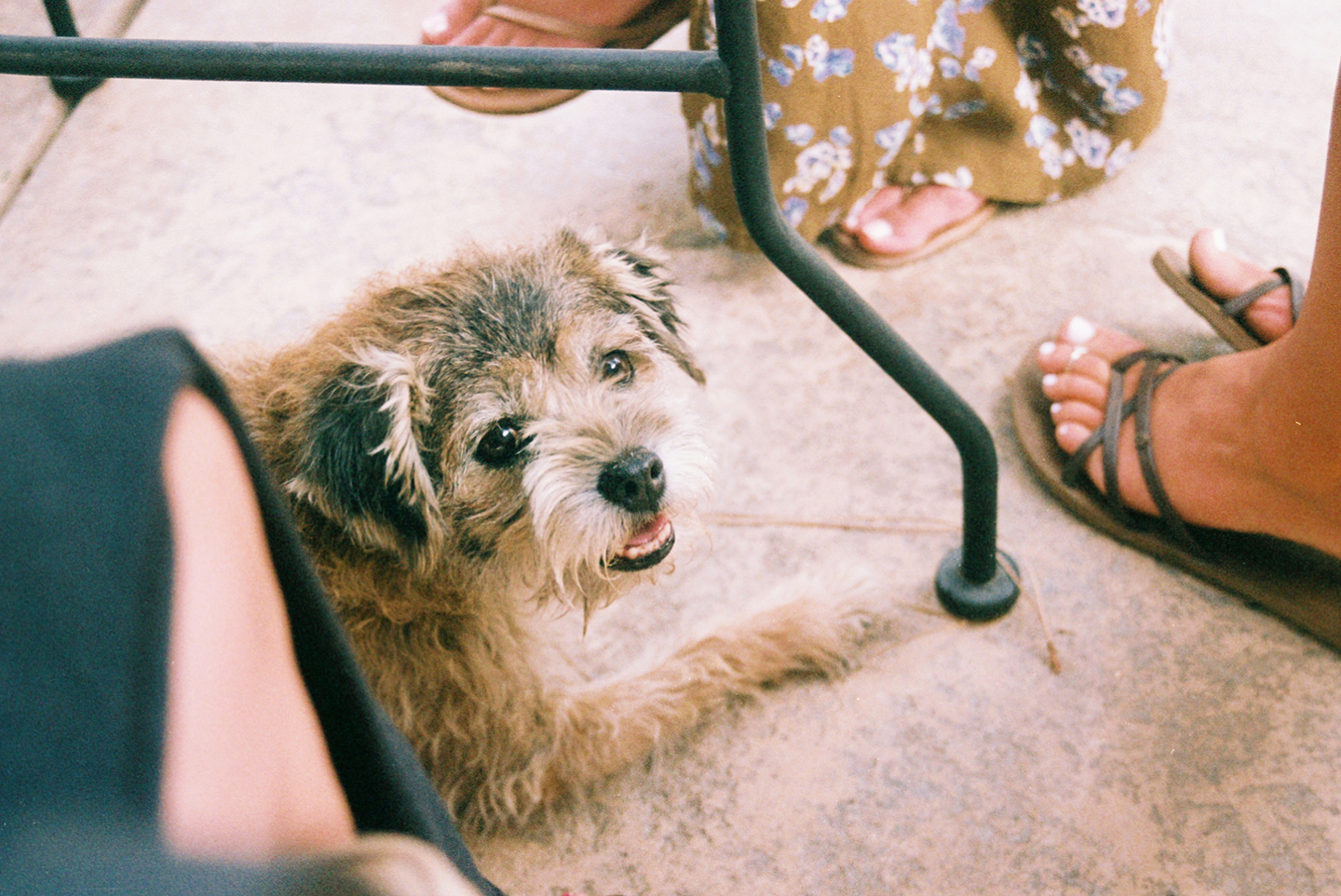 OREG461_OREG461-R1-043-20